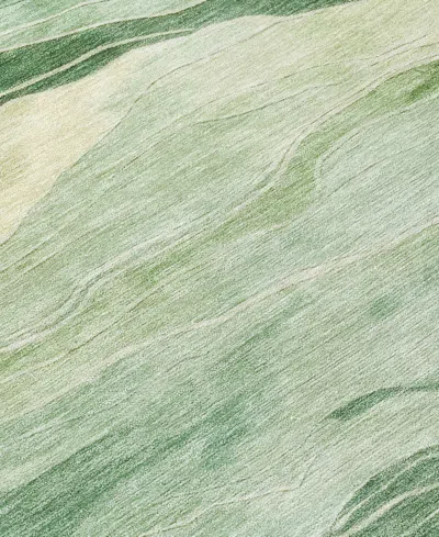 Addison Chantille Machine Washable Acn1248 2'3"x7'6" Runner Area Rug