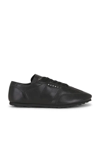 Marni "softy Doccer" Sneaker In Black