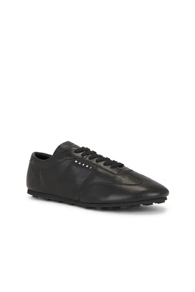Marni "softy Doccer" Sneaker In Black