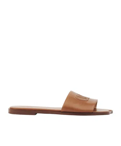 Chloé Soleil Leather Flat Slide Sandals In Brown