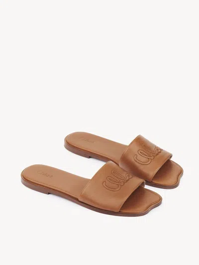 Chloé Soleil Leather Flat Slide Sandals In Brown
