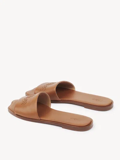 Chloé Soleil Leather Flat Slide Sandals In Brown