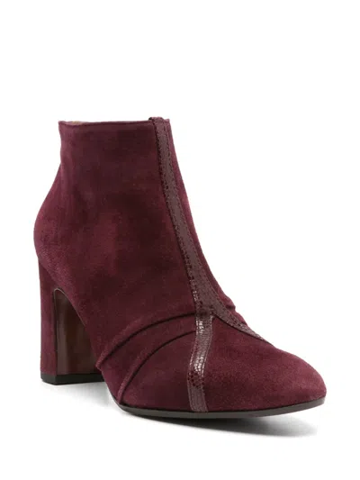 Chie Mihara Erina Y-strap Ankle Boots In Burgundy