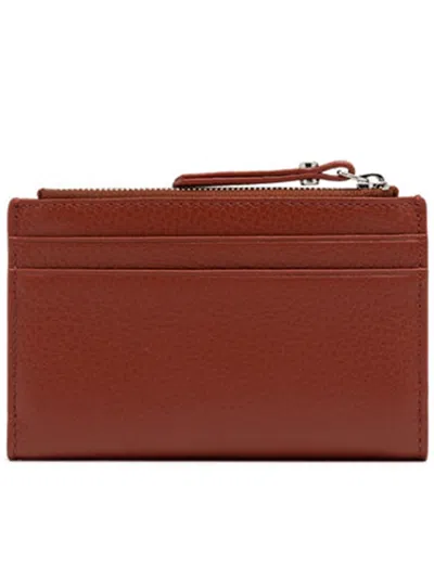 Gianni Chiarini (b) The Name And Address Of The Manufacturer;