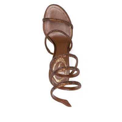 René Caovilla Brown Shoes