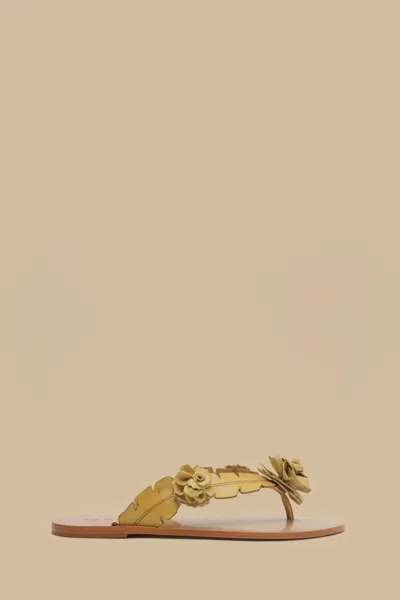 Farm Rio Active Buttermilk Blooming Flat Sandal
