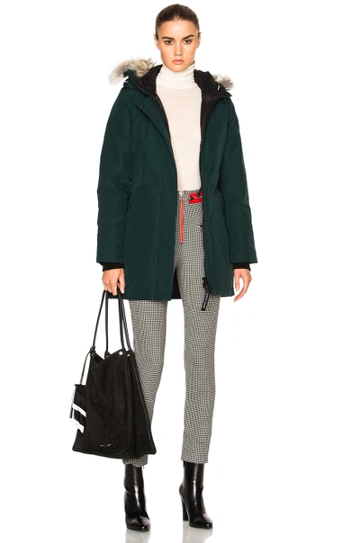 Shop Canada Goose Victoria Parka With Coyote Fur In Green. In Alonquin Green