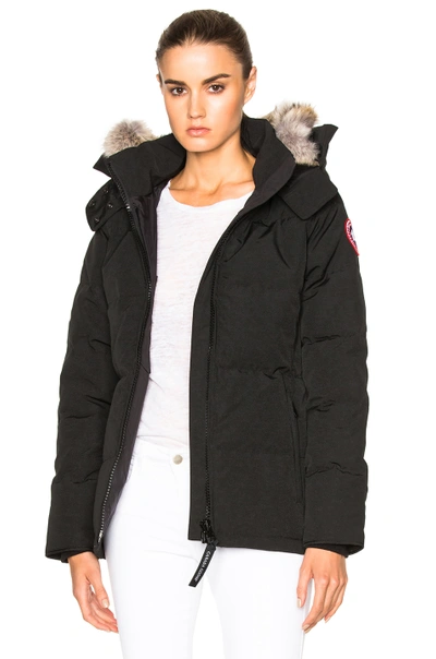 Shop Canada Goose Chelsea Parka With Coyote Fur In Black