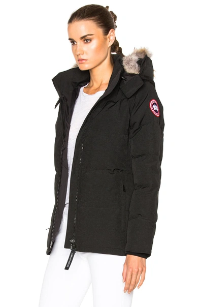 Shop Canada Goose Chelsea Parka With Coyote Fur In Black