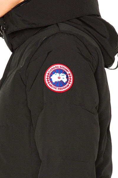 Shop Canada Goose Chelsea Parka With Coyote Fur In Black