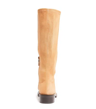Stuart Weitzman Kaia Knee High Boot In Brown