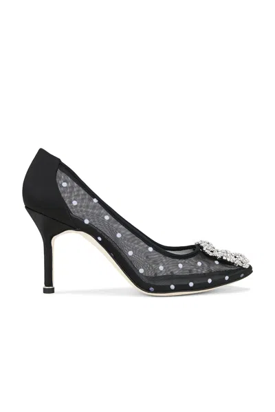 Manolo Blahnik Hangisi Polka-dot Mesh Pumps In Black