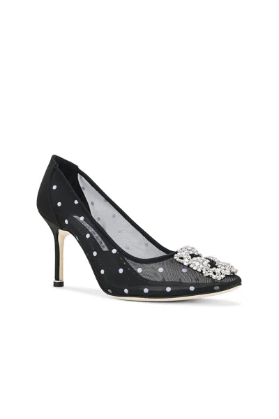 Manolo Blahnik Hangisi Polka-dot Mesh Pumps In Black