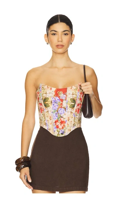 Falguni Shane Peacock Corset Top In Spring Time Whispers