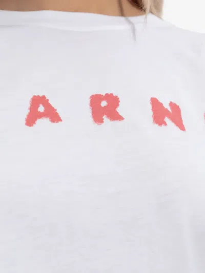 Marni Crew Neck Short Sleeves Top In White