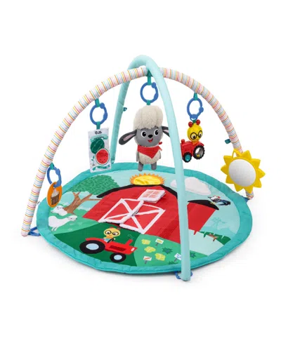 Baby Einstein Infant Farm Explorers Happy Harvest Touch Feel Activity Gym