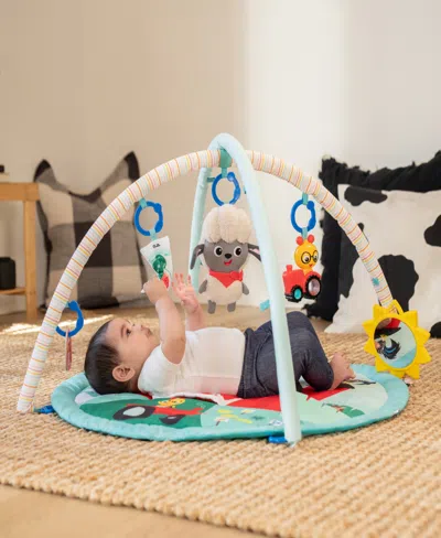 Baby Einstein Infant Farm Explorers Happy Harvest Touch Feel Activity Gym