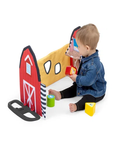 Baby Einstein Infant Farm Explorers Busy Barnyard Grow With Me Activity Gym