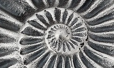 Samuel B. Sterling Silver Shell Motif Pendant In Metallic