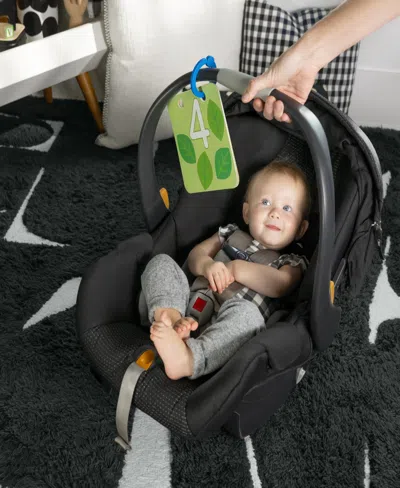 Baby Einstein Infant Discovery Garden Tummy Time Mat Mirror