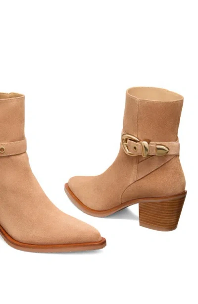 Stuart Weitzman Maven Suede Buckle Western Booties In Multi