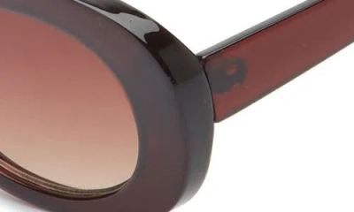 Bp. Oval Sunglasses In Brown