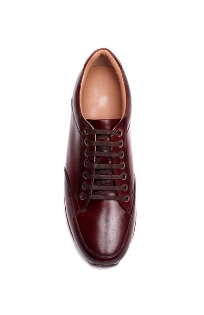 A. Veer Brooklyn Sneaker In Brown
