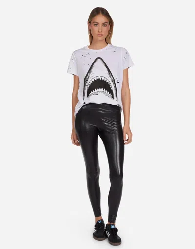 Lauren Moshi X Shallan X Shark