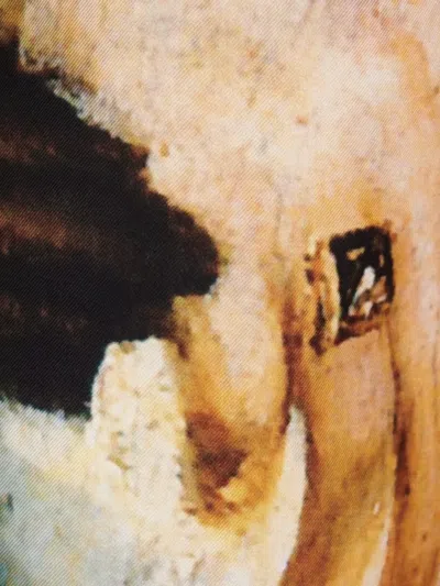 Alexander Mcqueen Silk Pants With Artistic Print And Wide Leg In Multi