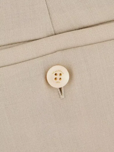 Max Mara Trousers Wool Blend Front Pleats In Neutral