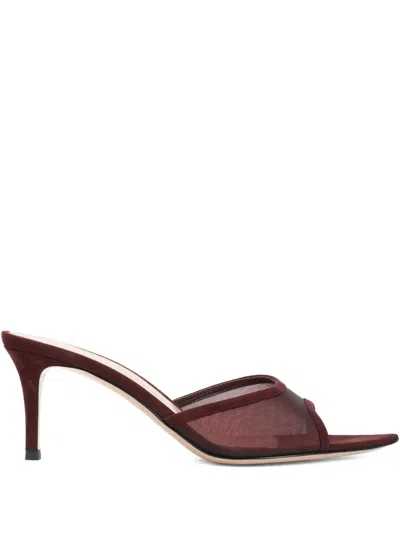 Gianvito Rossi Elle 70 Mesh Mules In Burgundy