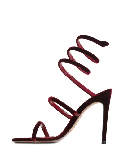 René Caovilla Spiral Design Velvet Heels With Ankle Wrap In Burgundy