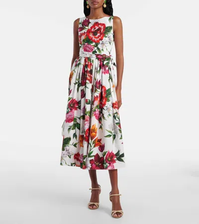 Dolce & Gabbana Flower-print Sleeveless Poplin Dress In Animal Print