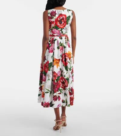 Dolce & Gabbana Flower-print Sleeveless Poplin Dress In Animal Print