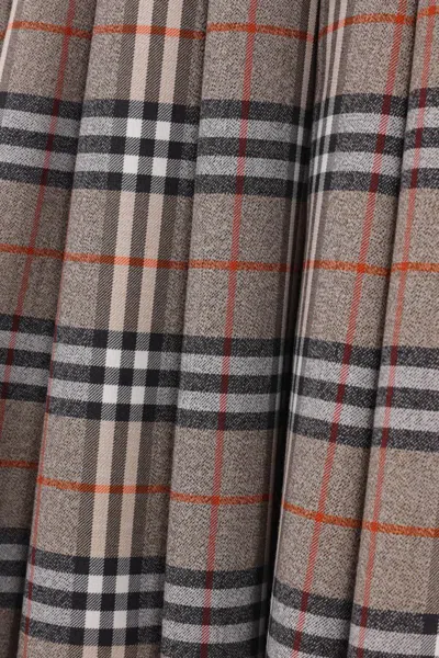 Burberry Skirts In Gray