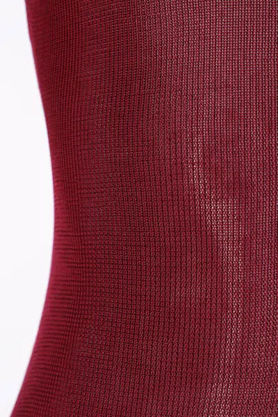 Self-portrait Self Portrait Women Burgundy Viscose Knit Long-sleeved Bodysuit In Burgundy