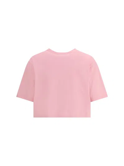 Balmain Women Logo Organic Cotton Cropped T-shirt In Pink