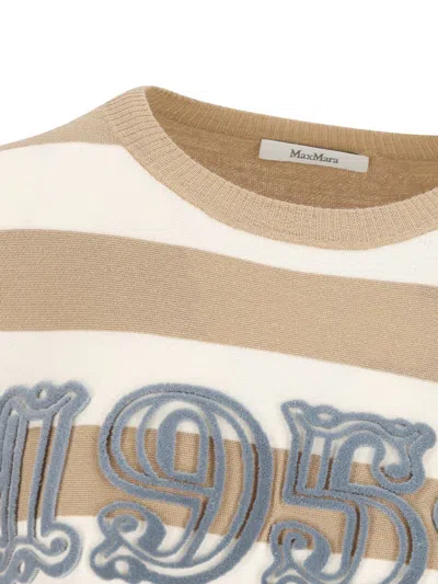 Max Mara Sleeveless Crew Neck Top With Embroidered Detail In Brown