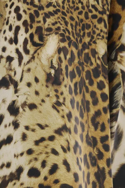 Roberto Cavalli Shirts In Multi
