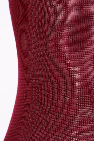 Self-portrait Self Portrait Women Burgundy Viscose Knit Long-sleeved Bodysuit In Burgundy