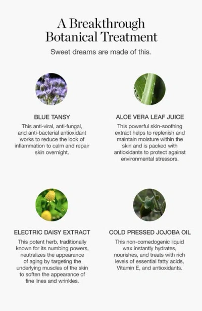 Ogee Ultra-rich Moisture Indigo Dream Renewal Cream By  Organic Skincare & Makeup