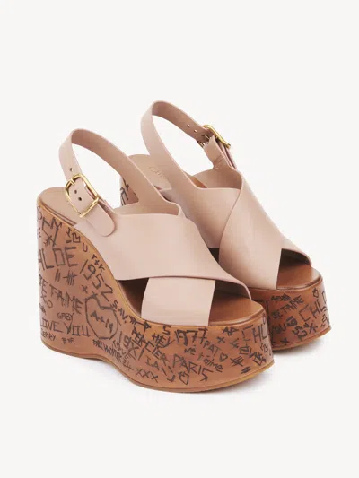 Chloé Chloe' Women Maxime Wedge Sandal In Brown