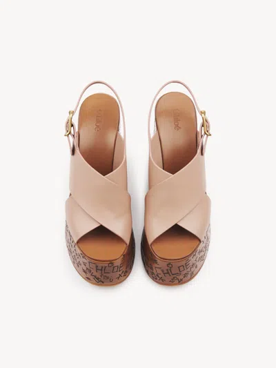 Chloé Chloe' Women Maxime Wedge Sandal In Brown