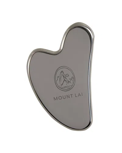 Mount Lai The Stainless Steel Gua Sha Tool In Transparent