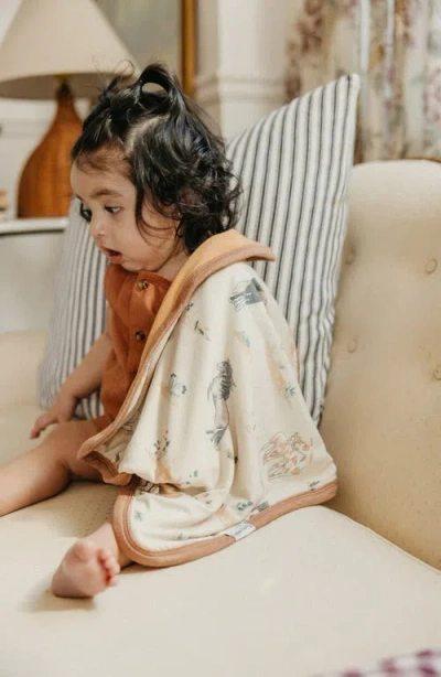 Copper Pearl Montana 2-pack Security Blankets In Multi