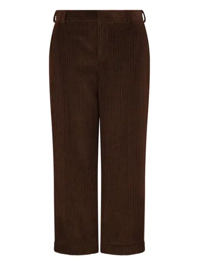 Moschino Corduroy Ribbed Trousers Rolled Hem In Brown