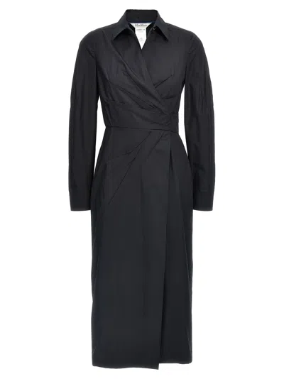 Max Mara Agrume Midi Dress In Black