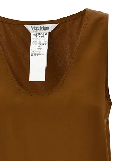 Max Mara Filly Tops Brown In Brown