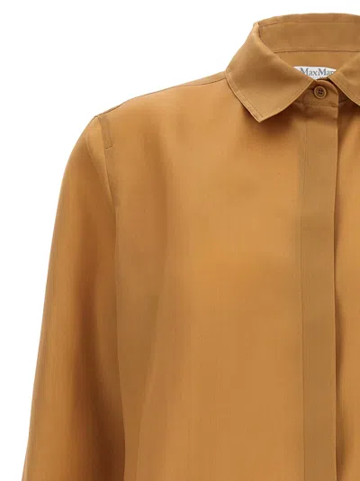 Max Mara 'nola' Sheer Fabric Shirt With Long Sleeves In Neutral