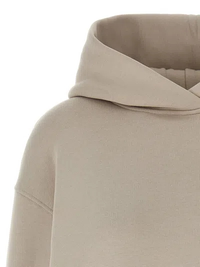 Max Mara Oversized Sweatshirt Beige In Gray